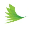 Whakatane Mill Limited Whakatane Mill Limited