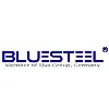 BLUE STEEL INDUSTRY LLC BLUE STEEL INDUSTRY LLC