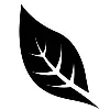Fine Print (Services) Ltd Fine Print (Services) Ltd
