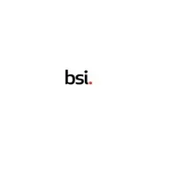 British Standard Institutions
