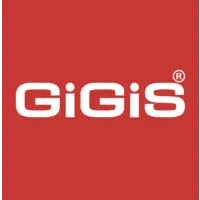 GiGiS International L.L.C