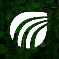 Foco Agronegócios Foco Agronegócios