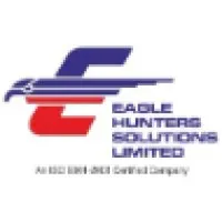 Eagle Hunter Solutions Limited email format