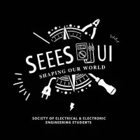 Society of Electrical and Electronic Engineering Students, University of Ibadan (SEEES-UI)