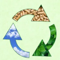 Katariya Agro Pvt Ltd