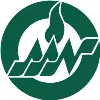 American Academy of Nursing American Academy of Nursing