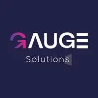 Gauge Solutions Gauge Solutions