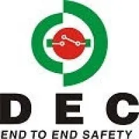 Delhi Electric Company
