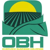 Overview Business Holdings, LLC
