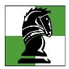 Chesstronics Inc