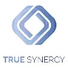 True Synergy Pty Ltd True Synergy Pty Ltd
