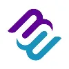 Micro Strategies Inc. Micro Strategies Inc.