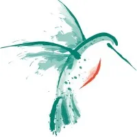 Alexanders Abilities