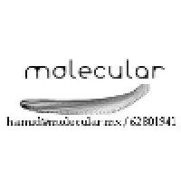 molecular.mx