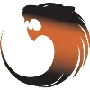 Tiger Optics