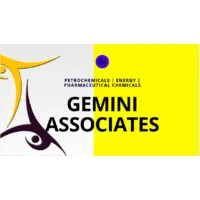 Gemini Associates Group Gemini Associates Group