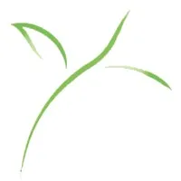 Spring Development Corp. Spring Development Corp.