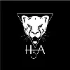 H3A Business Solutions Pvt Ltd H3A Business Solutions Pvt Ltd