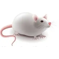 Mouse Specifics, Inc.