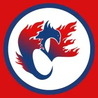 Fire Security Electronics & Communications, Inc.