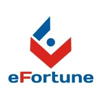 eFortune LLC