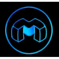 MetaVisionaries