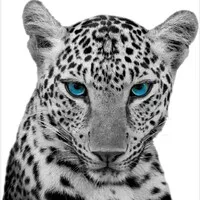 Wildcat Lending, LLC