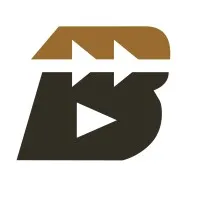 BAYI Capital Management