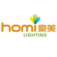 SHENZHEN HOMI LIGHTING