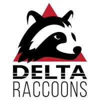 DeltaRaccoons Team OÜ