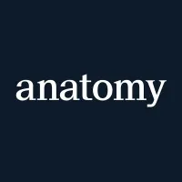 Anatomy