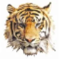 Tiger Group, Inc. - Home & Building Inspections Tiger Group, Inc. - Home & Building Inspections