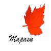 Mapasu Consulting Services Mapasu Consulting Services