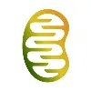 Numiera Therapeutics Numiera Therapeutics