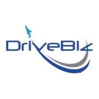 DriveBiz Marketing Consultants