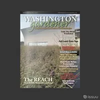 Washington Gardener