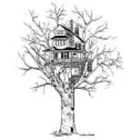 Anderson Associates LTD