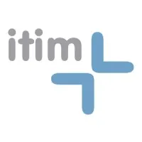 itim Group plc