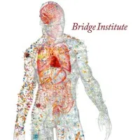 USC Bridge Institute