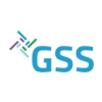 Global Smart Solutions Co., Ltd