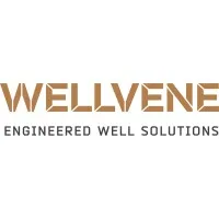 WELLVENE - Engineered Well Solutions