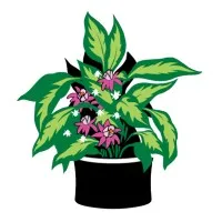 Smart Pot Smart Pot