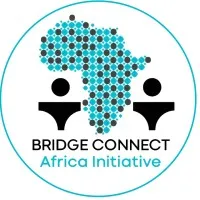 Bridge Connect 