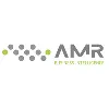 AMR Business Inteligence AMR Business Inteligence