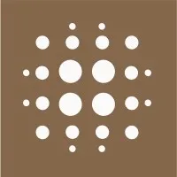 Falak Tayyeb Platinum Government Services L.L.C