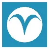 V Solutions Global LLC V Solutions Global LLC
