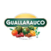 Guallarauco