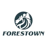 FORESTOWN INTERNATIONAL CONSULTING INC.