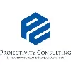Projectivity Consulting Projectivity Consulting