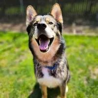Humane Society for Southwest Washington Humane Society for Southwest Washington